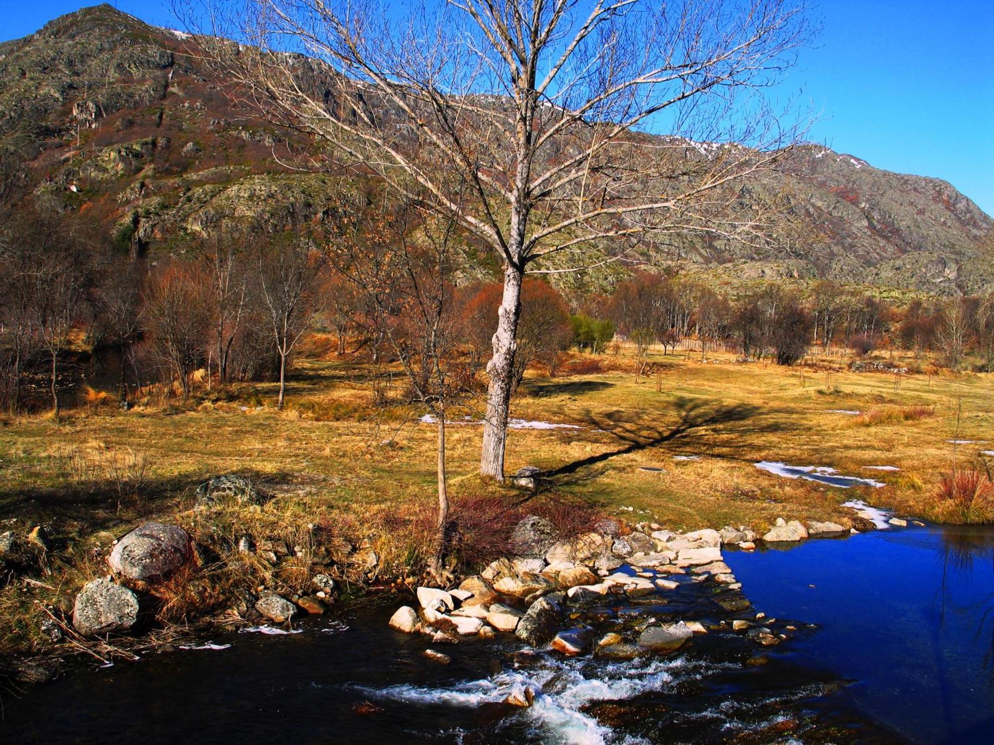 Hostal Martin - Sanabria Ribadelago Exterior photo